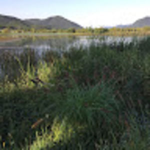 Meet your Posher, Hongki